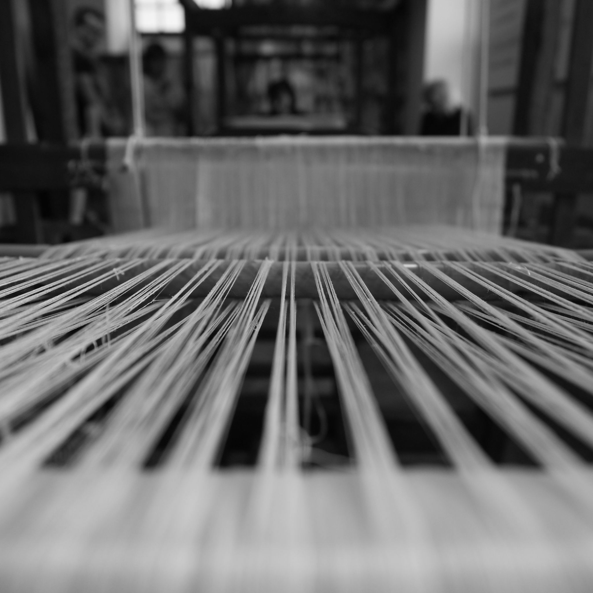  20160803 R0030314